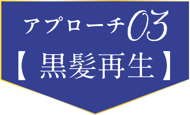 アプローチ03 黒髪再生
